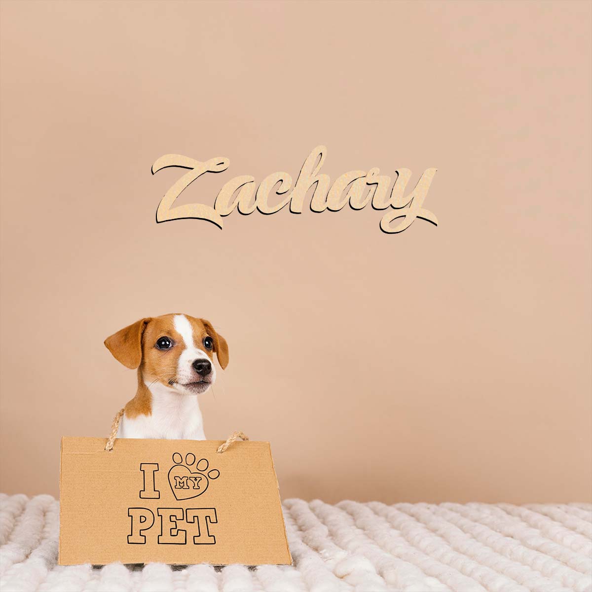 1 adet ev dekorasyonu Zachary  - Home Decor Examples incelemesi ve fiyatı